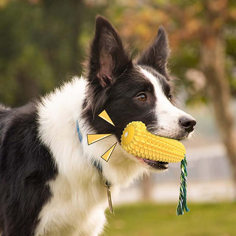 Corn Shape Squeaky Dog Toy Dur - Corn Dog Stick recension och pris